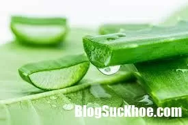 Mẹo chữa giảm bớt sự khó chịu do mẩn ngứa đem lại