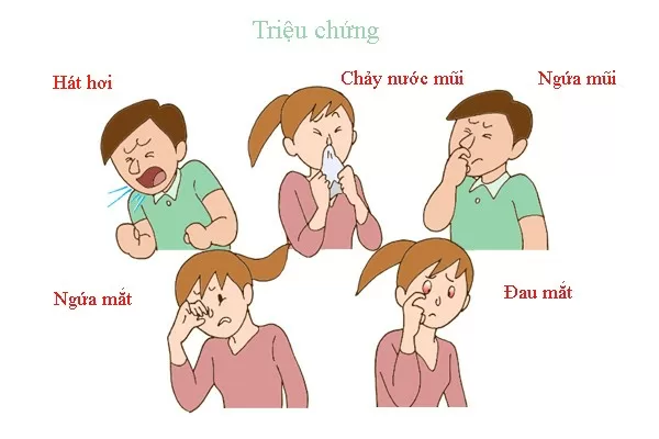 Dễ nhầm lẫn dị ứng với cảm lạnh