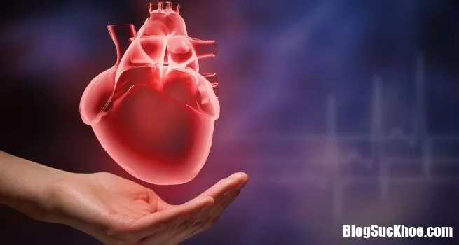 Bệnh tim và đột quỵ thường xảy ra nhiều ở phụ nữ