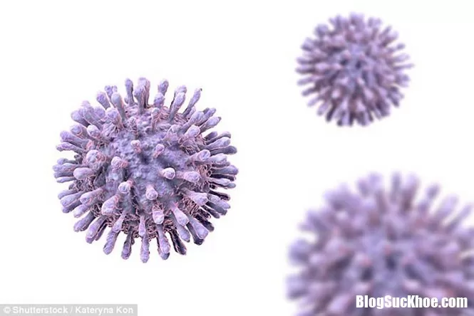 Tìm ra loại thuốc mới điều trị HIV