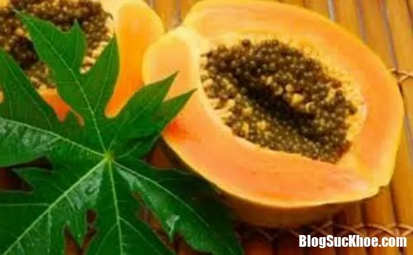 Những bài thuốc quý chữa bệnh từ lá đu đủ