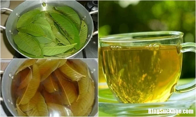 Ngậm nước lá ổi 2 phút đánh bay hết sâu răng, nhiệt miệng