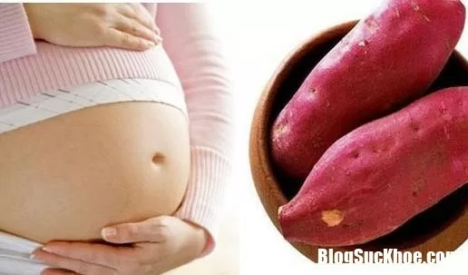 Mẹ bầu mà không ăn những thực phẩm này thì thật là uổng phí cho thai nhi