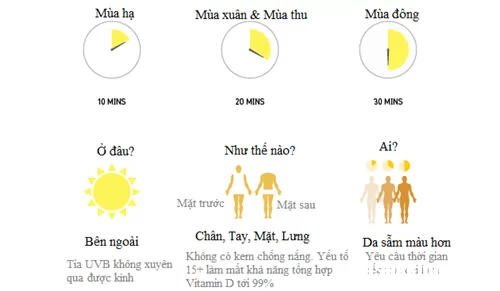 Những thực phẩm nào chứa nhiều vitamin D nhất ?