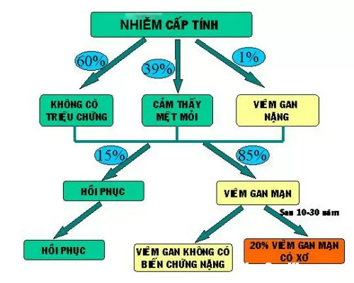 Viêm gan C tuy không có triệu chứng rõ ràng nhưng có thể dẫn tới xơ gan, ung thư gan