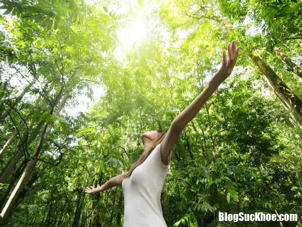 Phụ nữ sống gần cây xanh sẽ khỏe mạnh và thọ hơn