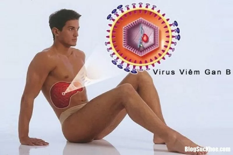 Giải đáp những thắc mắc phổ biến về viêm gan B