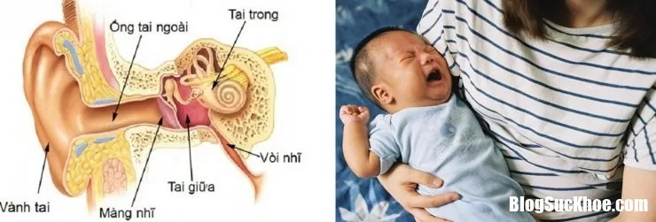 Tìm hiểu những thông tin giúp bé tránh xa bệnh viêm tai giữa