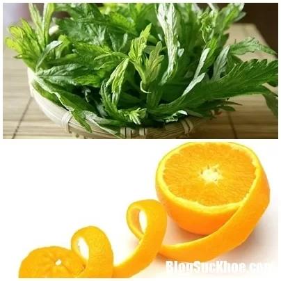 Cách dùng ngải cứu chữa bệnh thoát vị đĩa đệm