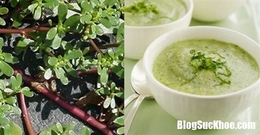 Những bài thuốc dân gian trị dứt điểm bệnh tiêu chảy