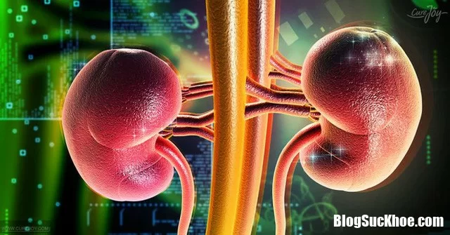 Những thói quen xấu gây hại thận nên tránh xa