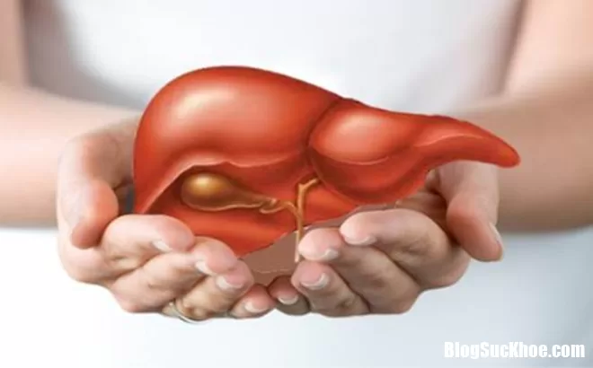 Những triệu chứng 'kêu gào' của gan chớ nên lơ là