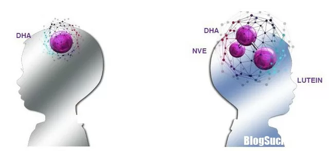 Những loại thực phẩm giúp cung cấp vitamin E cực hiệu quả cho cơ thể