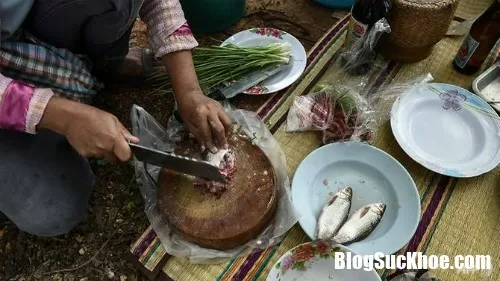 Ăn cá sống cẩn thận ung thư gan
