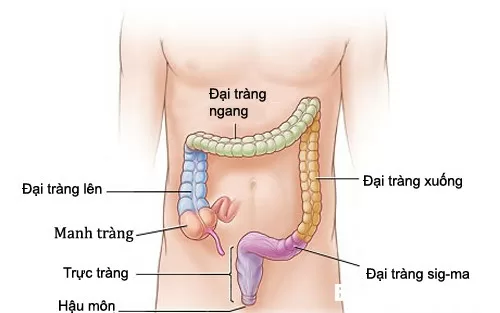 Những dấu hiệu cảnh báo ung thư đại trực tràng