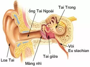 Xử trí viêm tai giữa ở trẻ và những sai lầm thường mắc phải