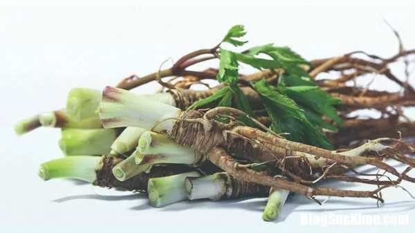 Đương quy vị thuốc bổ máu