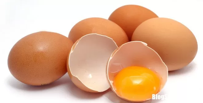 Cho con ăn trứng sai cách là mẹ đang vô tình làm hại con