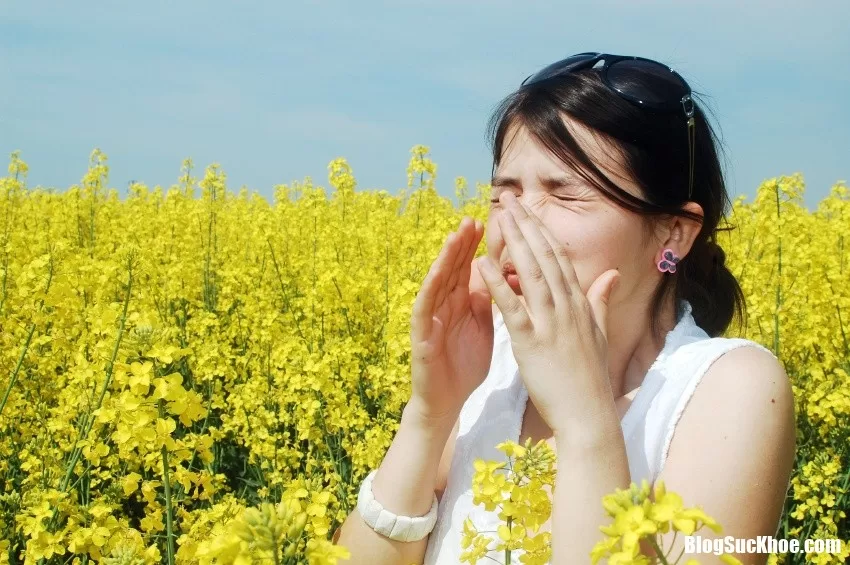 Dị ứng phấn hoa phải làm sao để vượt qua ?