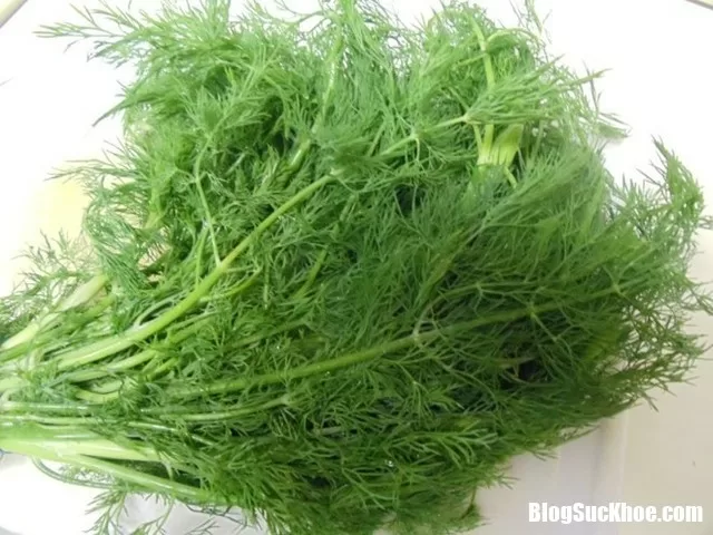 Những lợi ích sức khỏe khi ăn rau thì là