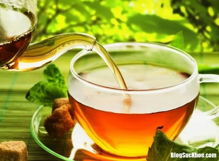 Mỗi ngày một tách trà nóng giúp giảm nguy cơ tăng nhãn áp