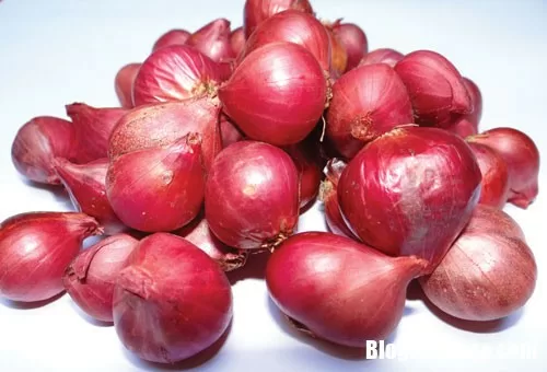 Cách sử dụng nước củ hành để điều trị viêm amiđan