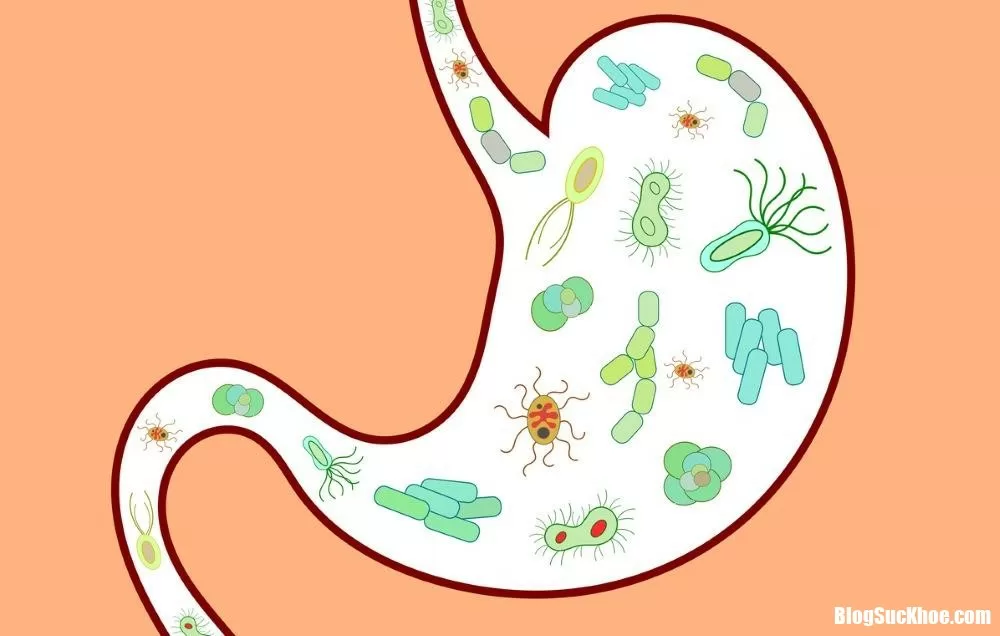 Những biểu hiện liên quan đến sức khỏe đường ruột cần lưu ý ngay
