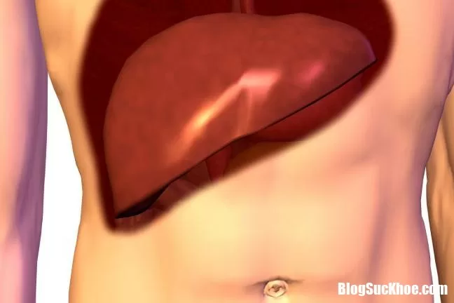 Chớ nên chủ quan với bệnh nóng gan
