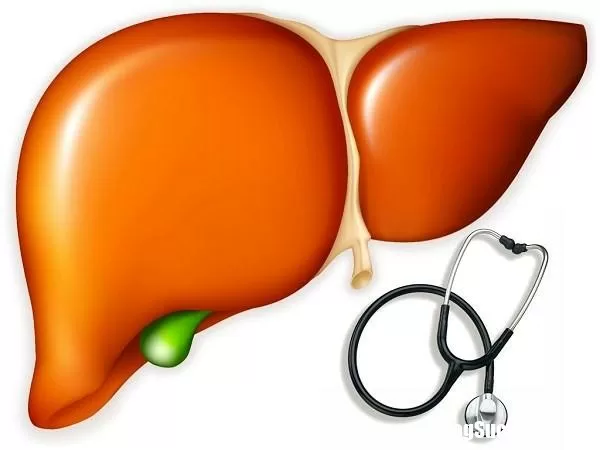 Những bí quyết giúp cải thiện suy giảm chức năng gan