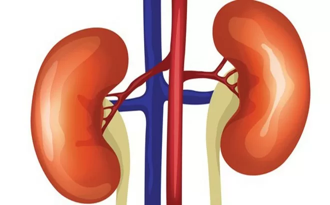 Những dấu hiệu cảnh báo thận đang gặp nguy hiểm