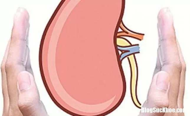 Những triệu chứng điển hình giú phân biệt suy thận cấp và mạn