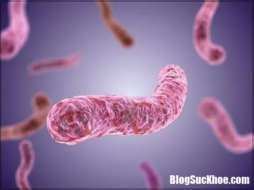 Nguyên nhân và cách nhận biết bệnh lao phổi