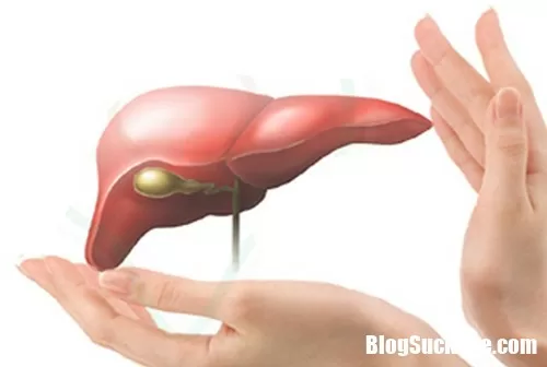 Cách ngừa ung thư cho người mắc bệnh viêm gan B