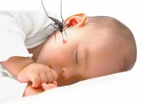 Những biểu hiện sớm của bệnh sốt xuất huyết ở trẻ em