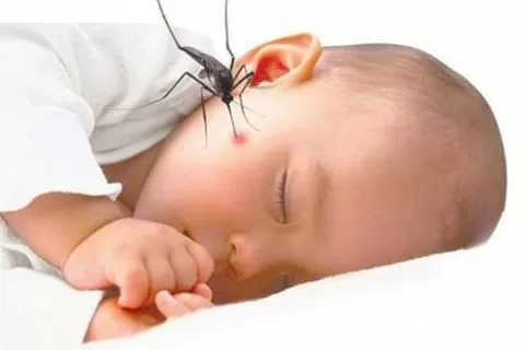 Điều trị sốt xuất huyết sai cách dễ gây nguy hiểm đến tính mạng