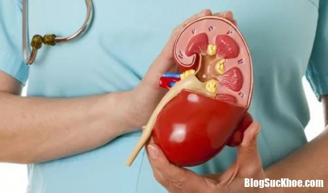 Phụ nữ mắc bệnh thận hư thường gặp những biến chứng nào