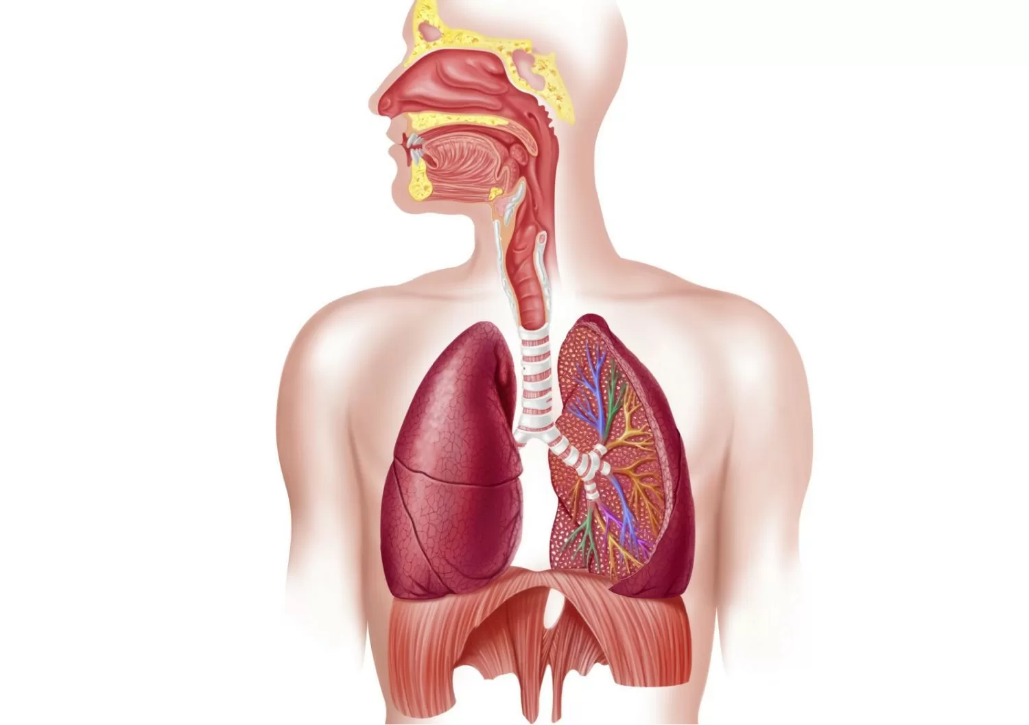 Bệnh phù phổi cấp là gì ?