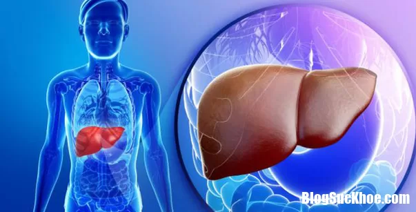 Những dấu hiệu nguy hiểm của bệnh suy giảm chức năng gan