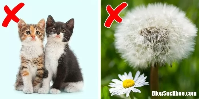 Các dấu hiệu cảnh báo tiền mãn kinh mà chị em không hề hay biết