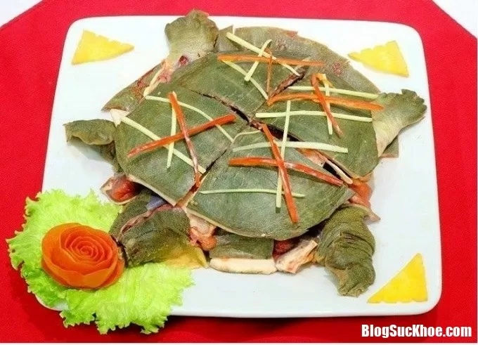 Thịt ba ba rất tốt cho sức khỏe nhưng sẽ cực kỳ nguy hiểm khi ăn nếu bạn không biết điều này