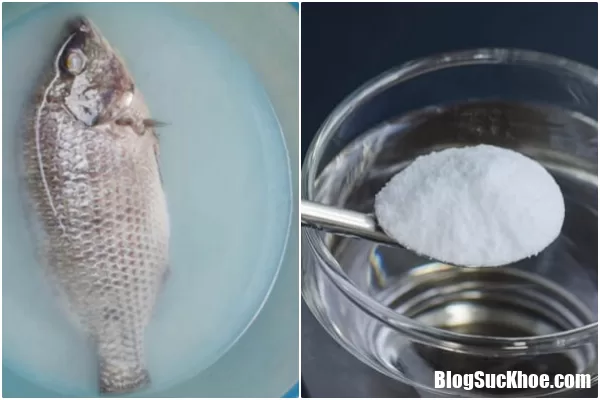 Học hỏi ông bà xưa bảo quản cá tươi lâu và giữ nguyên hương vị