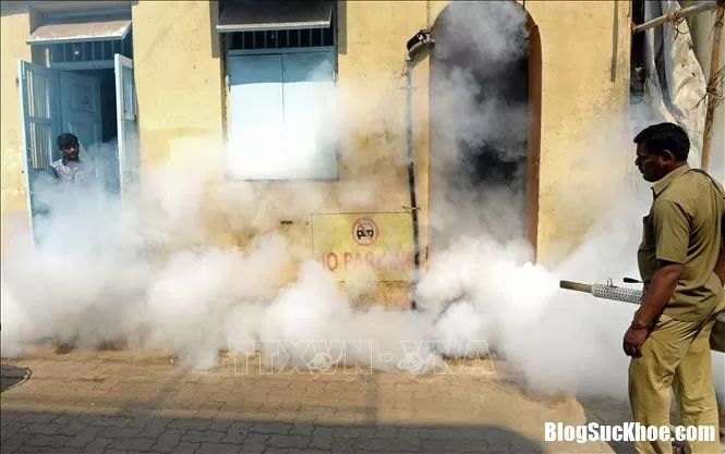Miền Bắc Ấn Độ lại bùng phát dịch Zika