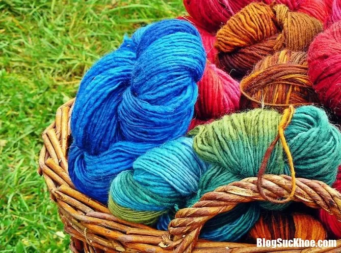 Bất ngờ với công dụng của thứ mà chúng ta luôn vứt đi