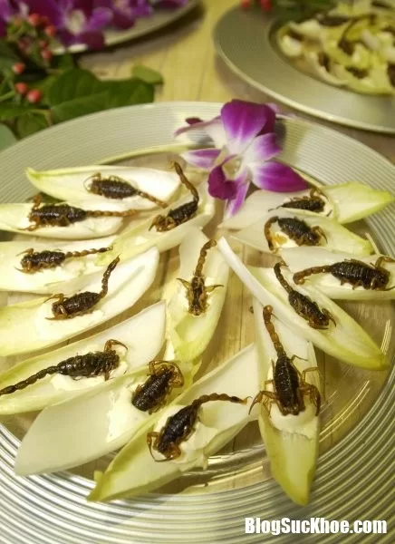 Phải có lí do thì côn trùng mới trở thành đặc sản của nhiều nước như thế