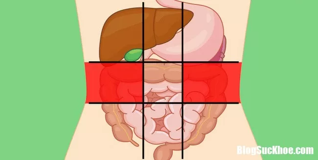 Học thuộc những vị trí dễ đau bụng để biết bạn đang mắc bệnh gì