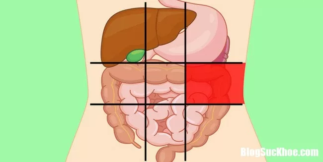 Học thuộc những vị trí dễ đau bụng để biết bạn đang mắc bệnh gì