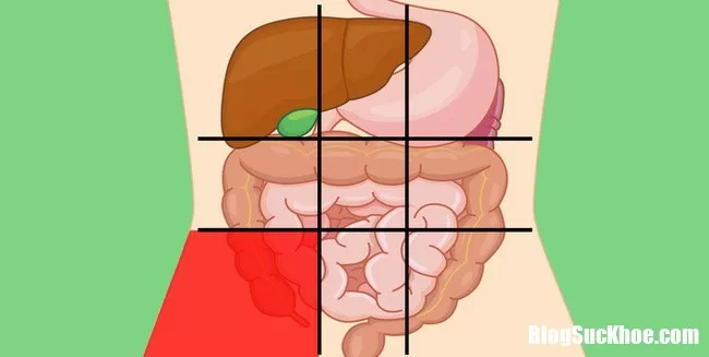 Học thuộc những vị trí dễ đau bụng để biết bạn đang mắc bệnh gì