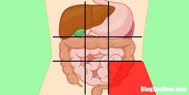 Học thuộc những vị trí dễ đau bụng để biết bạn đang mắc bệnh gì