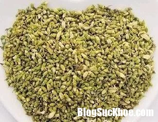 Bất ngờ khi biết hoa hòe có thể trị được nhiều bệnh