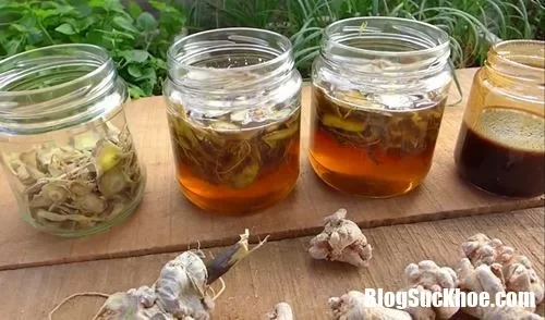 Khoa học chứng minh dùng tam thất không hề ảnh hưởng đến sức khỏe sinh sản